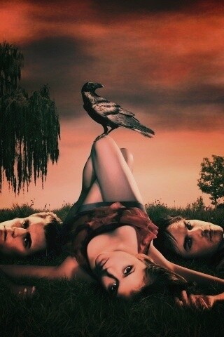 Герои сериала Дневники Вампира обои