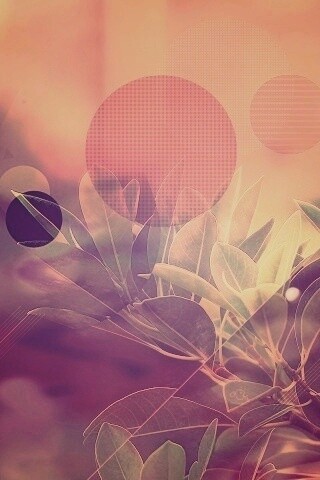 Синий фильтр с кргуами на фото листьев обои