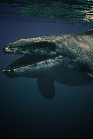 Морской динозавр обои