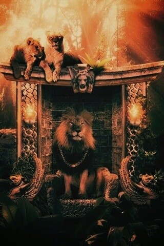 Царь зверей обои