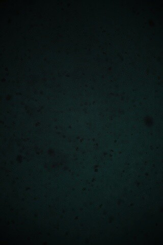 Черные пятна на сером фоне обои