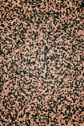 Черно-белый ковролин обои