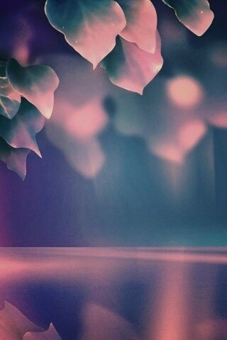 Синие листья обои