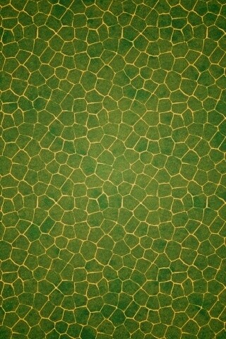 Зелёные сегменты обои