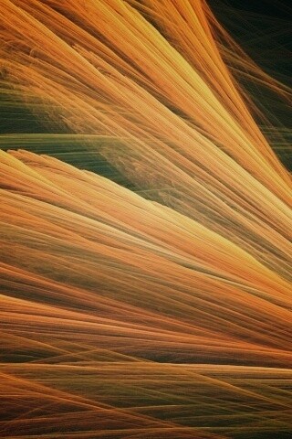 Прозрачные зеленоватые крылья обои