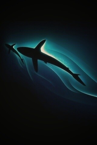 Рыбы в глубине обои