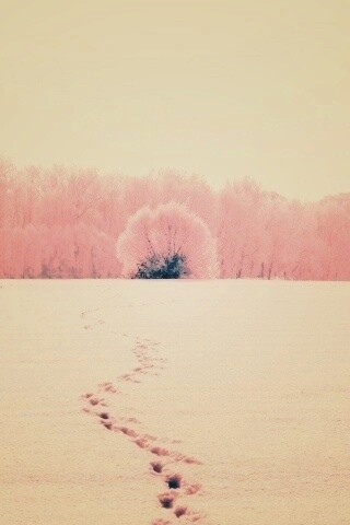 Следы на снегу обои