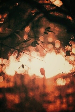 Размытый свет в парке обои