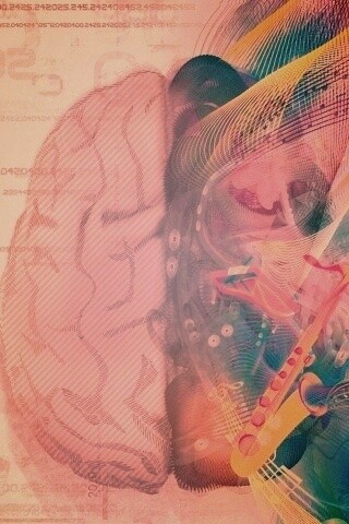 Левая и правая половина мозга обои