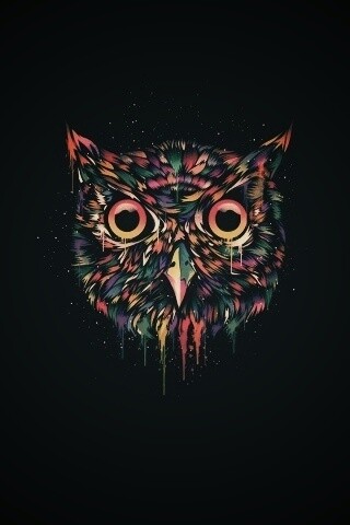 Векторная совиная голова обои