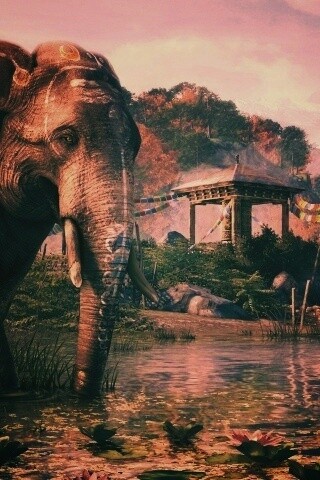 Слоники у воды обои