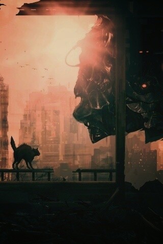 Кошкино удивление обои