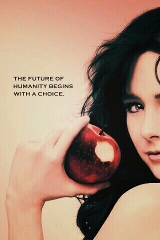 Каприка обои