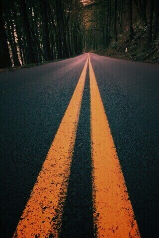 Дорога в лесу обои