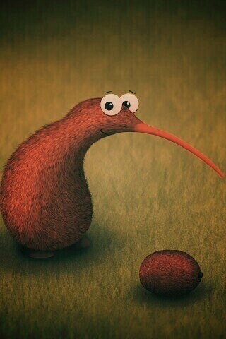 Киви и киви обои