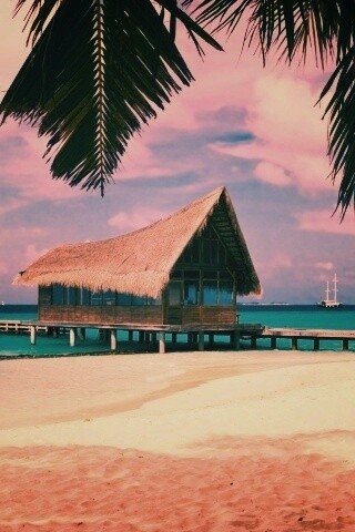 Бунгало обои