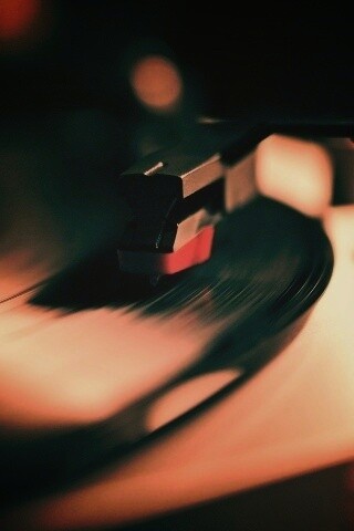 Пластинка обои