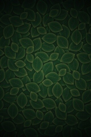 Векторные зеленые листья обои