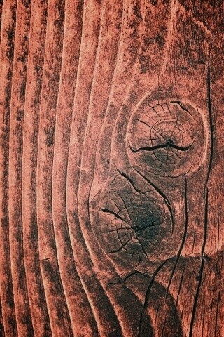 Сучковатое дерево обои