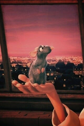 Рататуй на ладони обои