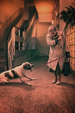 Непослушная собака обои