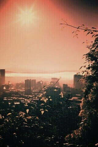 Утро в раю обои