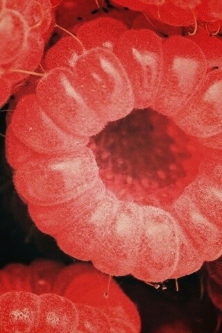 Малина обои