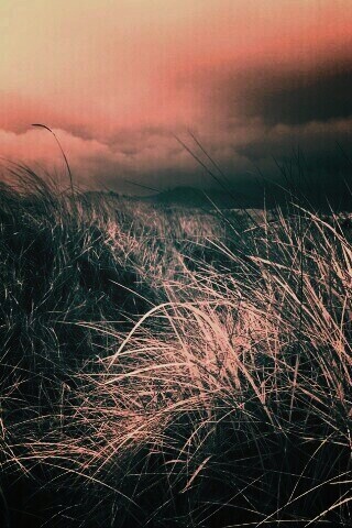 В ожидании шторма обои