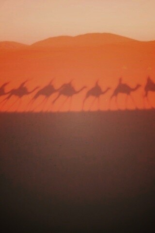 Караван обои