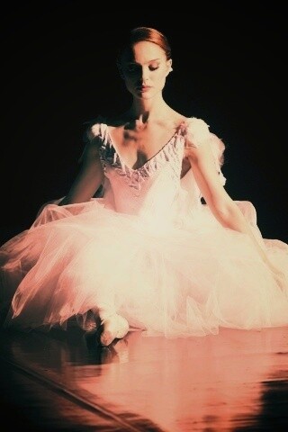 Черный лебедь обои