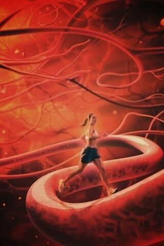 Бег крови обои