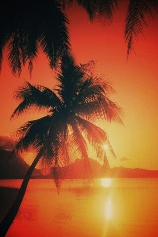 Закат в раю обои