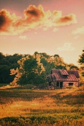 Домик в лесу обои