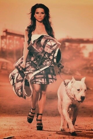 Девушка с питбулем обои