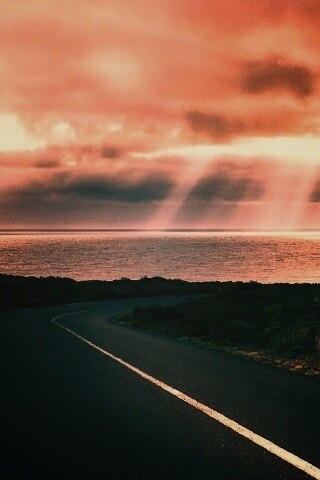 Дорога обои