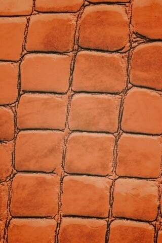 Змеиная кожа обои