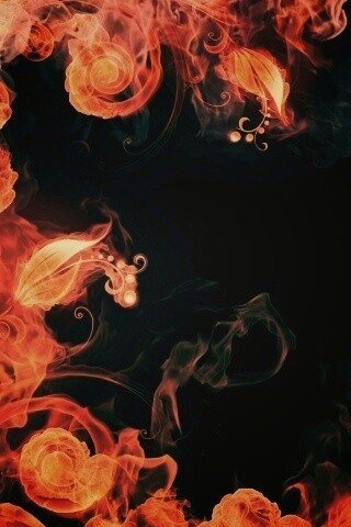 Огненные цветы обои