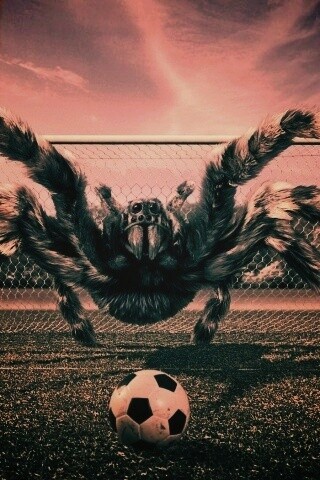 Вратарь обои