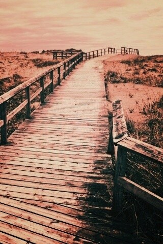 Деревянная дорога обои