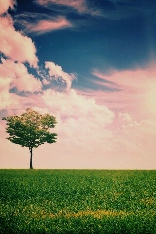 Один в целом мире обои