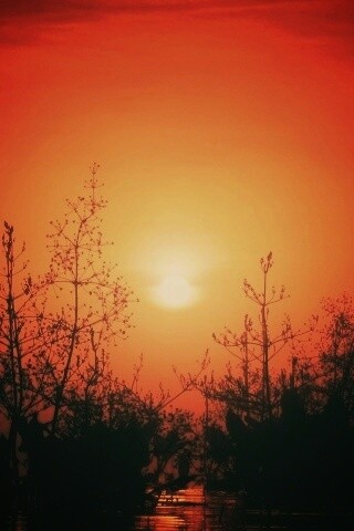 Доисторическое утро обои