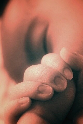 Младенец держит палец обои