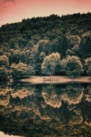 Лесной берег обои