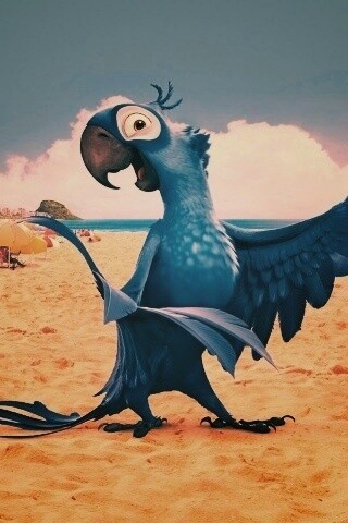 Blu из Rio обои