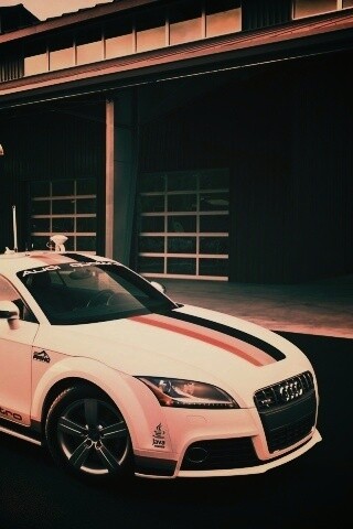 Audi Quattro обои