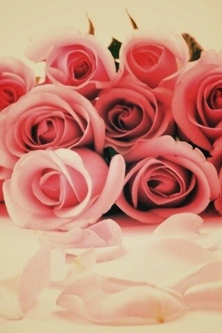 Букет роз обои