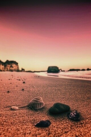 Океанский берег обои