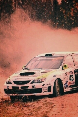 Раллийная гонка обои