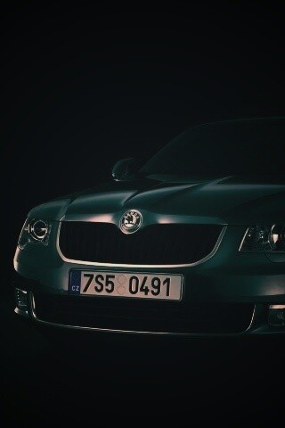 Шкода в темноте обои