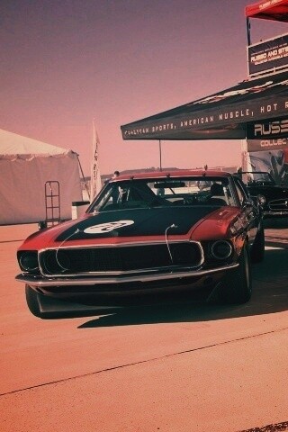 Мускул кары обои